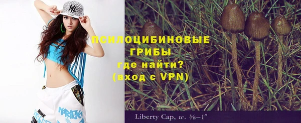mix Бородино